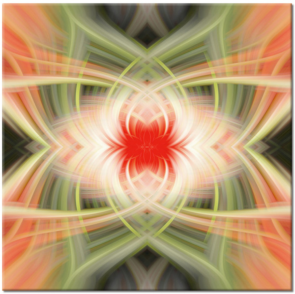 canvas-leinwandbild, abstrakt-fantasie, bunt, fraktalkunst, grun, kunst, orange, rot, schwarz, symmetrie, weiss, zeitgenoessische-kunst