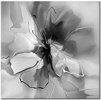 Farbversion: schwarz-weiss