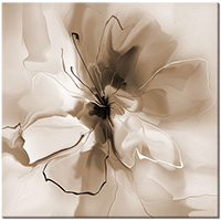 Farbversion: sepia