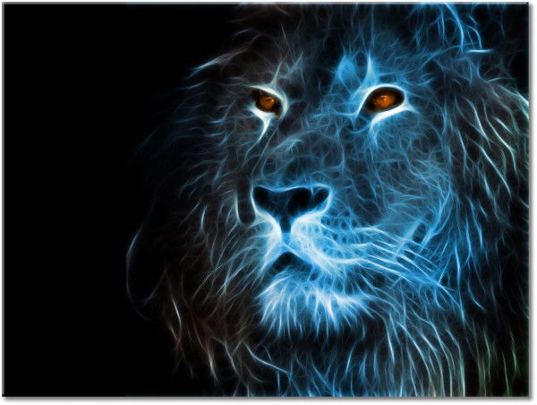 canvas-leinwandbild, abstrakt-fantasie, augen, blau, loewen, schwarz, tiere, wildtiere, zeichnung