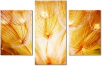 Leinwandbild 3 Teile