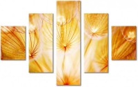 Leinwandbild 5 Teile