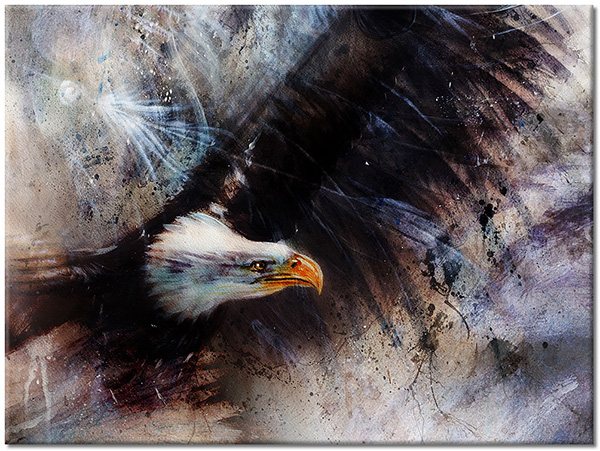 canvas-leinwandbild, abstrakt-fantasie, adler, flug, grau, schwarz, tiere, voegel, vogel-fische-insekten