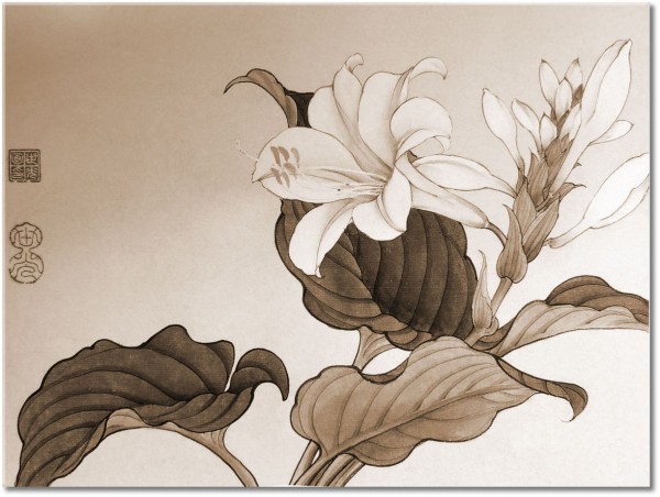 canvas-leinwandbild, aquarell, beige, blumen, china, grun, kunst, lilien, malereien, stillleben-andere-gemalde, weiss, zeichnung