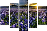 Leinwandbild 5 Teile