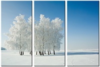 Leinwandbild 3 Teile