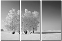 Leinwandbild 3 Teile