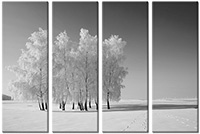 Leinwandbild 4 Teile