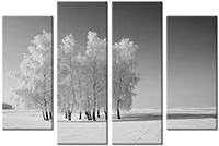 Leinwandbild 4 Teile
