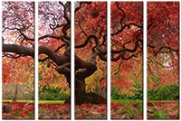 Leinwandbild 5 Teile