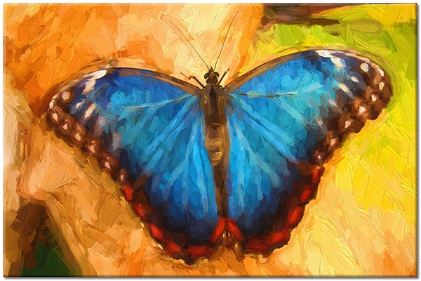 canvas-leinwandbild, beige, blau, braun, bunt, cyan, gelb, grun, malereien, orange, rot, stillleben-andere-gemalde, tiere, vogel-fische-insekten