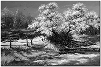 Farbversion: schwarz-weiss