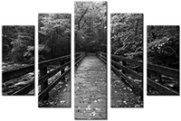 Leinwandbild 5 Teile