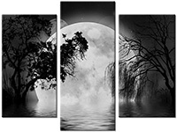 Leinwandbild 3 Teile