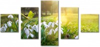 Leinwandbild 5 Teile