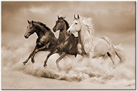 Farbversion: sepia