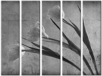 Leinwandbild 5 Teile
