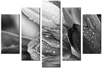 Leinwandbild 5 Teile