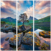 Leinwandbild 3 Teile