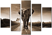 Leinwandbild 5 Teile