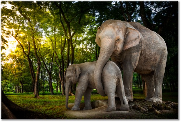canvas-leinwandbild, braun, elefanten, grun, kinder, tiere, wildtiere
