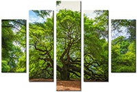 Leinwandbild 5 Teile