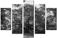 Leinwandbild 5 Teile