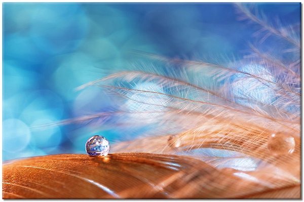 canvas-leinwandbild, abstrakt-fantasie, blau, braun, orange, sonstiges, tau