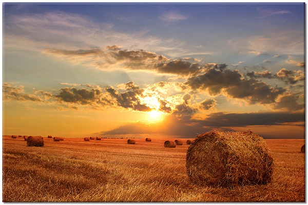 canvas-leinwandbild, andere-landschaften, beige, blau, braun, felder, gelb, grau, herbst, heu, himmel, landschaft, orange, sonne, sonnenaufgang, sonnenuntergang, wolken