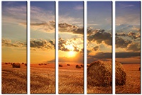 Leinwandbild 5 Teile