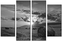Leinwandbild 4 Teile