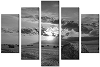 Leinwandbild 5 Teile