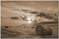 Farbversion: sepia