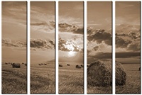Leinwandbild 5 Teile