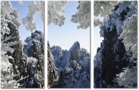 Leinwandbild 3 Teile