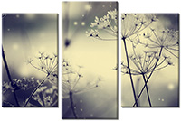 Leinwandbild 3 Teile
