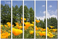 Leinwandbild 5 Teile