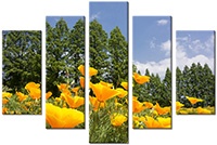 Leinwandbild 5 Teile