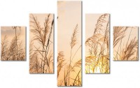 Leinwandbild 5 Teile
