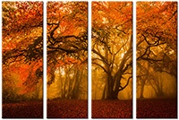 Leinwandbild 4 Teile