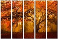 Leinwandbild 5 Teile