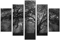Leinwandbild 5 Teile