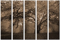 Leinwandbild 5 Teile