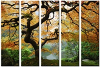Leinwandbild 5 Teile