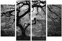 Leinwandbild 4 Teile