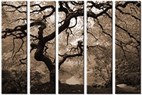 Leinwandbild 5 Teile