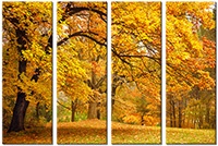 Leinwandbild 4 Teile