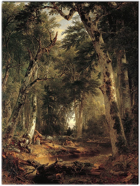 canvas-leinwandbild, baeume, blumen, braun, brown-durand, fluss, grun, kunst, landschaft, malereien, malereien-landschaften, waelder, walder, weiss