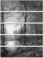 Leinwandbild 5 Teile
