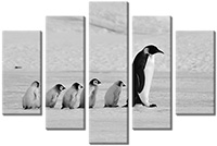 Leinwandbild 5 Teile